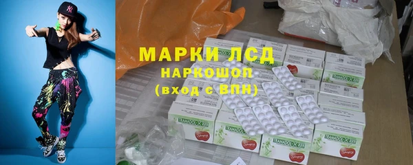 прущие грибы Болотное