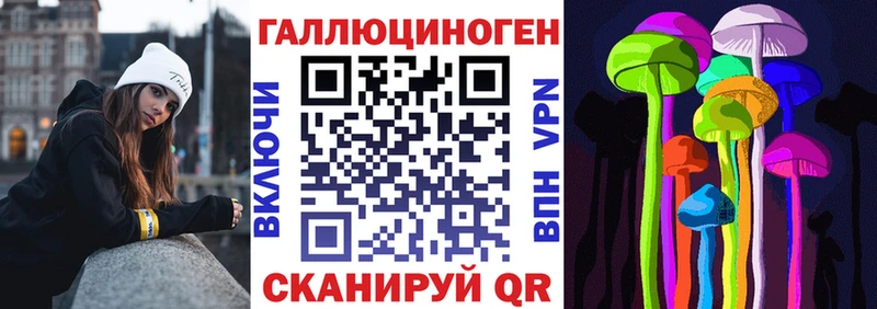 купить наркоту  Шадринск  Галлюциногенные грибы Psilocybine cubensis 