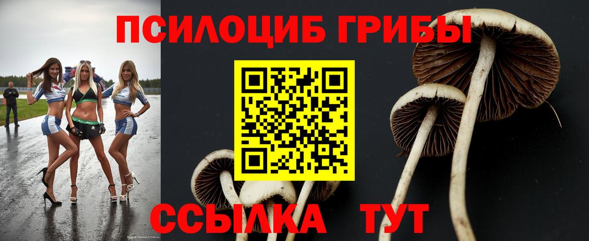 Шадринск  Псилоцибиновые грибы Psilocybe  Псилоцибиновые грибы MAGIC MUSHROOMS  Вход с VPN 