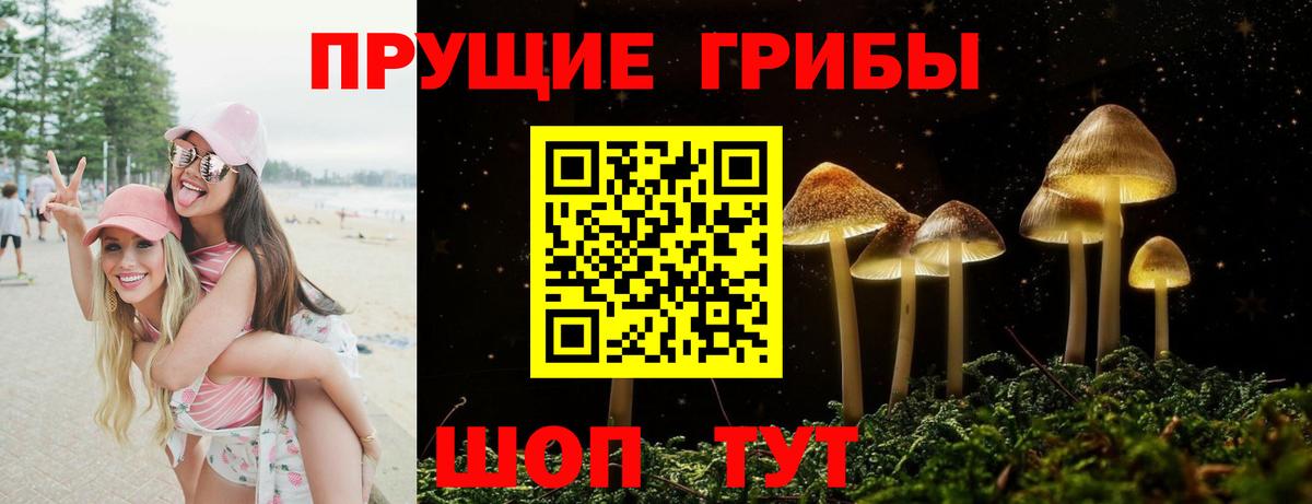 Псилоцибиновые грибы MAGIC MUSHROOMS Шадринск