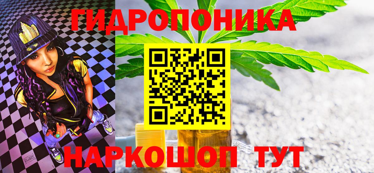 Бошки Шишки планчик Шадринск